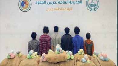 جازان: إحباط تهريب 260 كيلوغرامًا من القات المخدر في عملية نوعية تثير الجدل