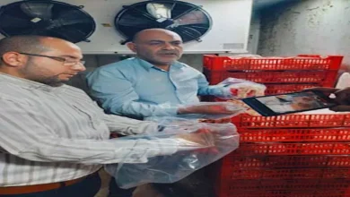 حملة تفتيش تكشف عن 4.2 طن من اللحوم والدواجن الفاسدة في أسواق الخصوص