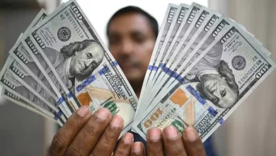 سعر الدولار يسجل 47.67 جنيه اليوم الثلاثاء 14 أكتوبر 2025: تحديثات هامة حول أسعار العملات الأجنبية