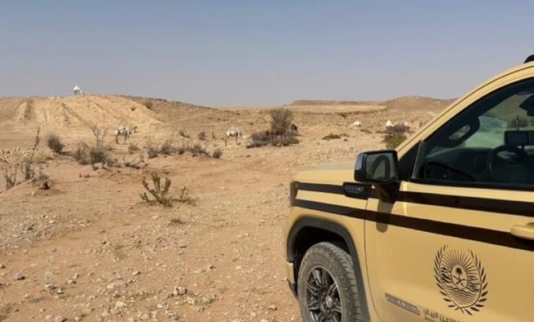 ضبط مواطن في محمية الملك عبدالعزيز الملكية بتهمة الرعي المخالف: تفاصيل حصرية عن العملية الأمنية