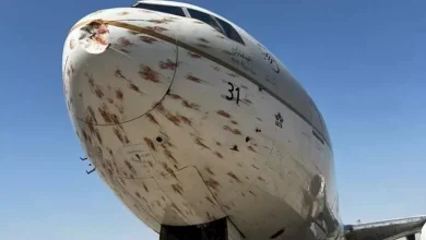 طائرة ركاب سعودية تتعرض لأضرار بعد اصطدامها بسرب طيور فوق الجزائر - تفاصيل حصرية وصور وفيديو 4 طائرة ركاب سعودية تتعرض لأضرار بعد اصطدامها بسرب طيور فوق الجزائر - تفاصيل حصرية وصور وفيديو