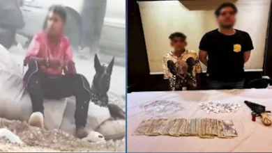فيديو صادم من شبرا الخيمة: طفل وكلب في مواجهة مأساوية مع الهيروين