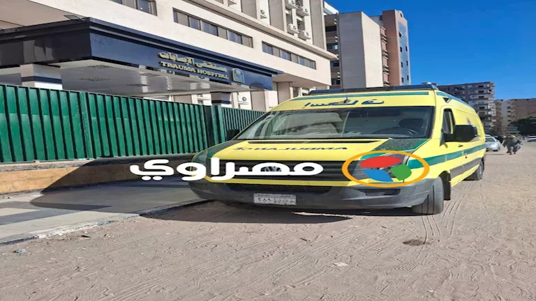 مأساة في الوادي الجديد: وفاة طفل إثر سقوط جدار عليه 1 مأساة في الوادي الجديد: وفاة طفل إثر سقوط جدار عليه