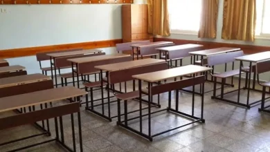 مدرسة بكفر الشيخ توقف الدراسة احتفالًا بمولد إبراهيم الدسوقي: تفاصيل جديدة من وزارة التعليم