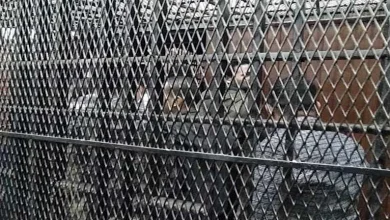 اليوم: بدء محاكمة 21 متهماً في قضية خلية 'اللجان النوعية' بمحكمة أكتوبر 2 اليوم: بدء محاكمة 21 متهماً في قضية خلية 'اللجان النوعية' بمحكمة أكتوبر