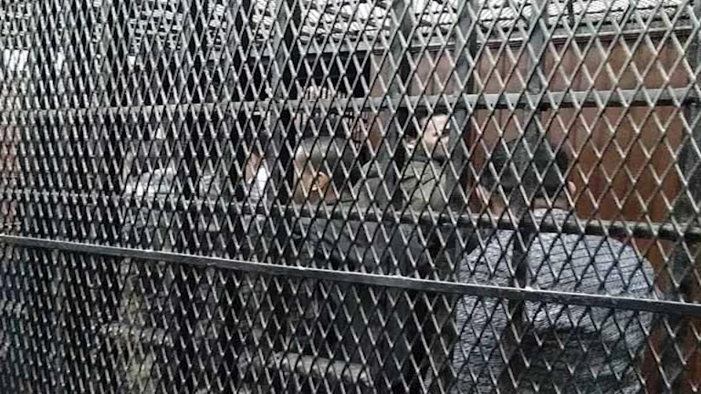 اليوم: بدء محاكمة 21 متهماً في قضية خلية 'اللجان النوعية' بمحكمة أكتوبر