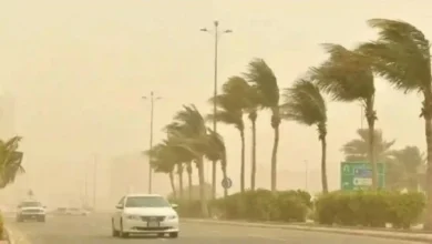 تحذير عاجل من الأرصاد: رياح نشطة تضرب منطقة حائل! تفاصيل مثيرة