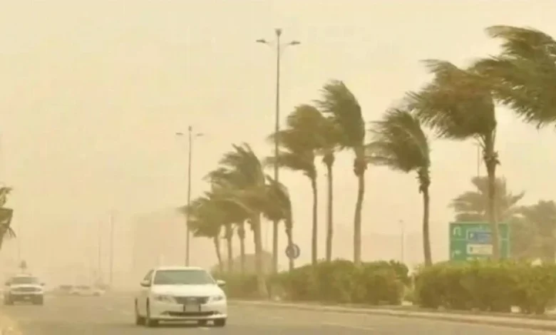 تحذير عاجل من الأرصاد: رياح نشطة تضرب منطقة حائل! تفاصيل مثيرة