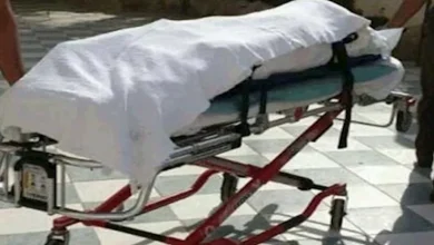 حادثة مأساوية في الإسكندرية: سيدة تفقد حياتها تحت عجلات الترام بعد إغلاق باب حقيبتها