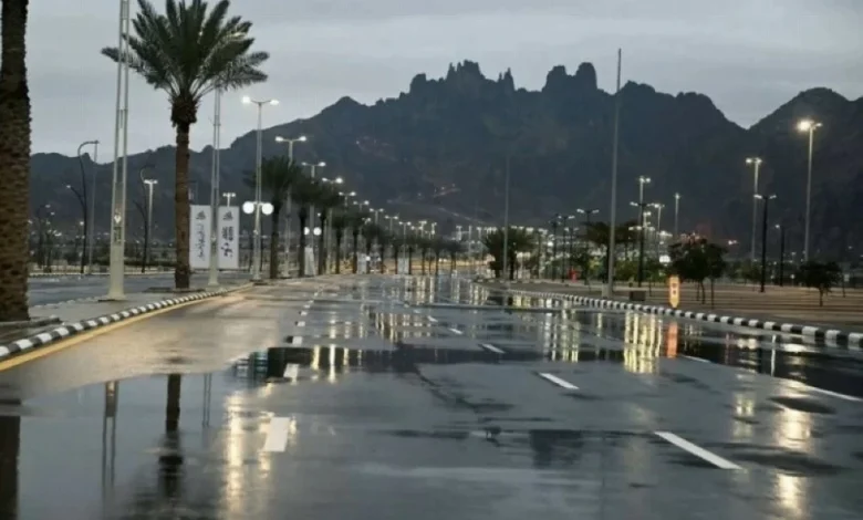 <p><strong>"عاجل: الأرصاد تحذر من أمطار غزيرة وتساقط للبرد في حائل - تفاصيل مثيرة"</strong></p> 1 "عاجل: الأرصاد تحذر من أمطار غزيرة وتساقط للبرد في حائل - تفاصيل مثيرة"