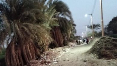 أهالي عزبة يوسف في بني سويف يطالبون بتحسين طريق الموت الذي يهدد حياتهم 4 أهالي عزبة يوسف في بني سويف يطالبون بتحسين طريق الموت الذي يهدد حياتهم