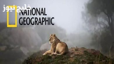 اكتشف تردد قناة ناشيونال جيوغرافيك أبوظبي 2026: كل ما تحتاج معرفته لمتابعة أفضل البرامج!